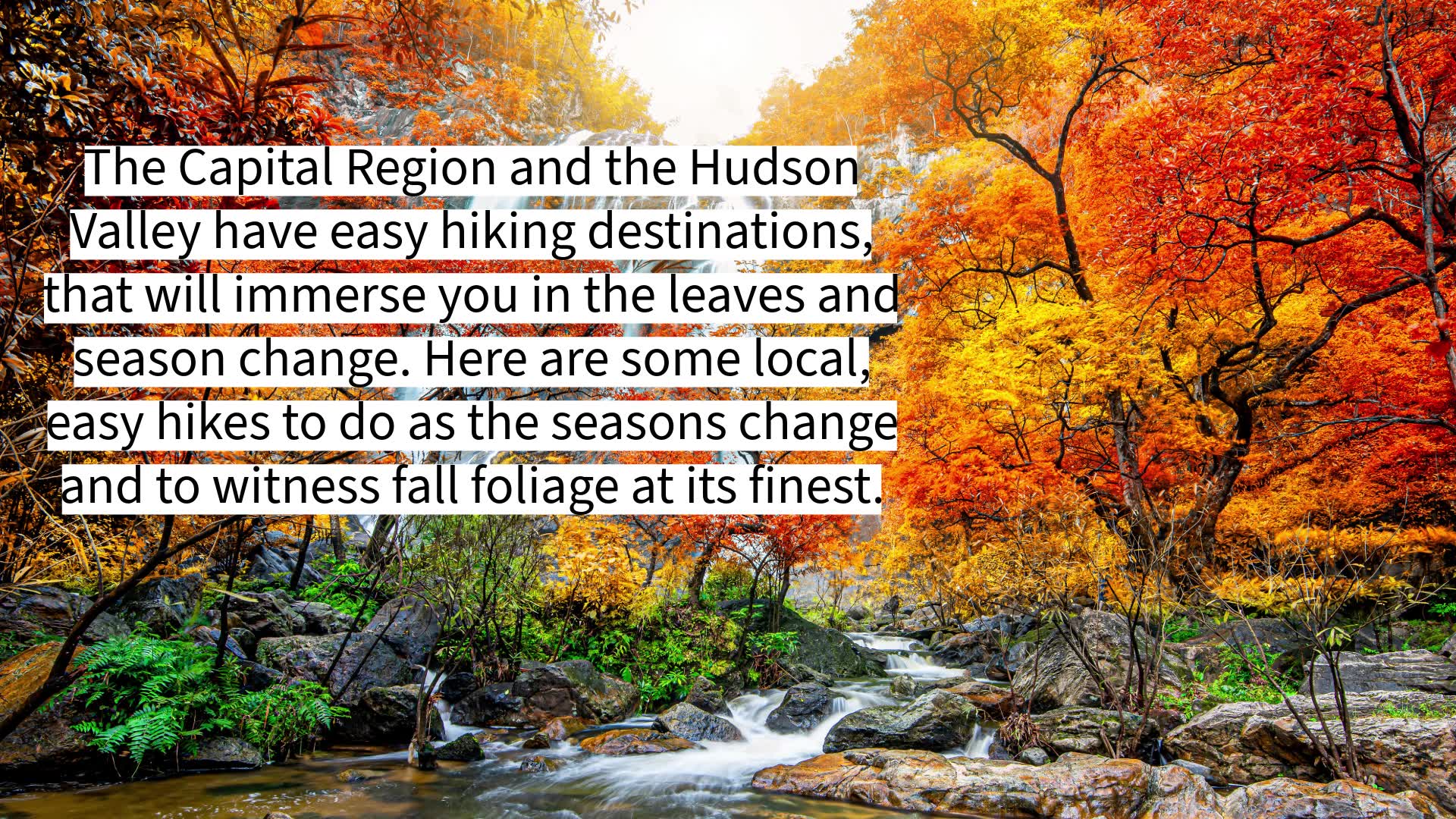 5 easy hiking trails to see fall foliage – NEWS10 ABC